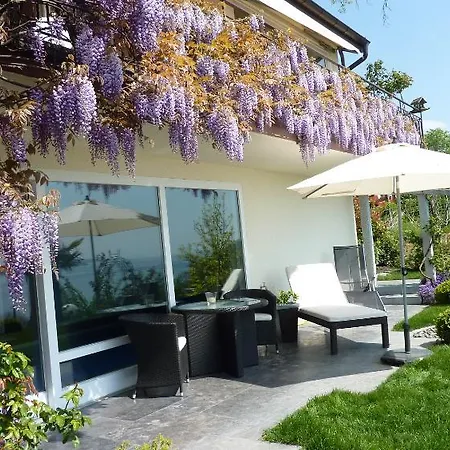 Ferienwohnung Palmengarten אוברלינגן